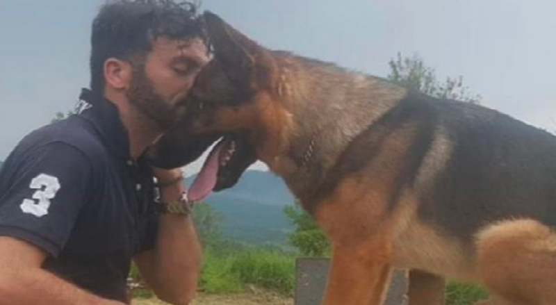 Kaos Il Coraggio E Lingiusta Fine Del Cane Eroe Del Terremoto