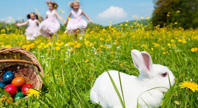 Coniglietto pasquale come simbolo di Pasqua: perché