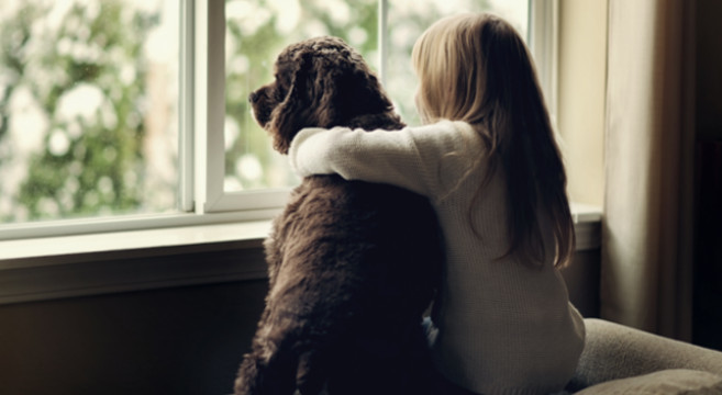 Come Comunicare Ai Bambini La Scomparsa Di Un Animale