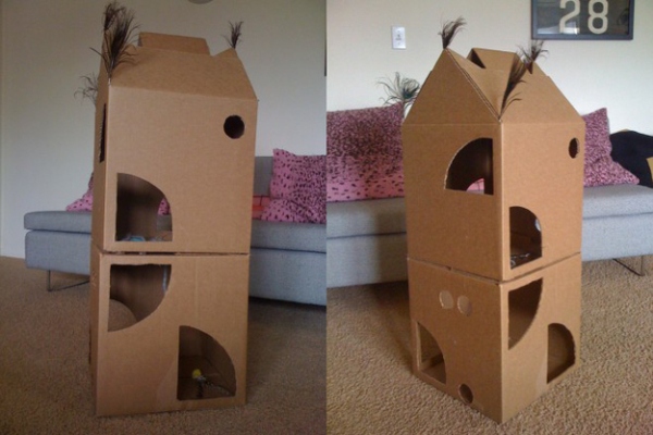 castello per gatti