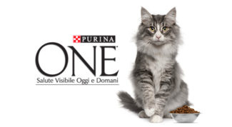 concorso-purina-one-gatto