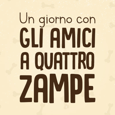 Un giorno con gli amici a quattro zampe