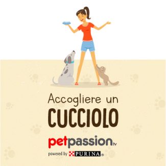 accogliere un cucciolo