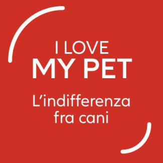 indifferenza fra cani