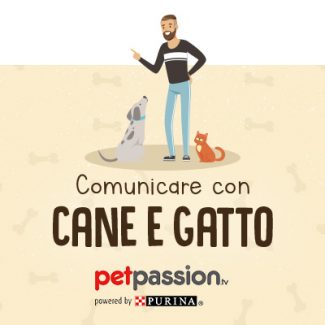 comunicare con cane e gatto