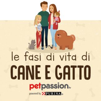 whitepaper petpassion luoghi di casa e fasi di vita