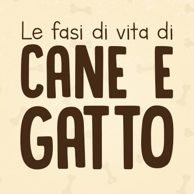 Luoghi di casa e fasi di vita