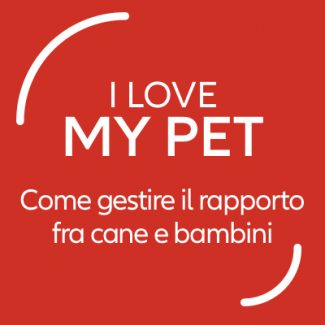 rapporto cani bambini