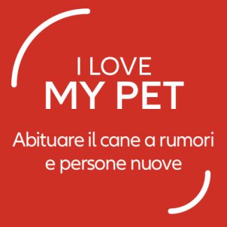 abituare cane rumori persone