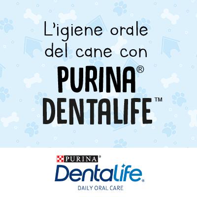 L’igiene orale del cane secondo Purina® Dentalife™