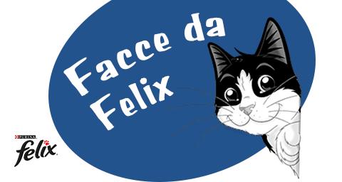 concorso facce da felix petpassion