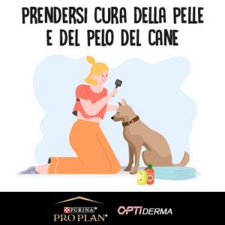 PRENDERSI CURA DELLA PELLE E DEL PELO DEL CANE